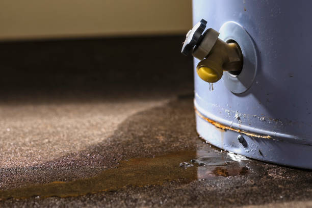 Best Mold removal after water damage  in Oronogo, MO