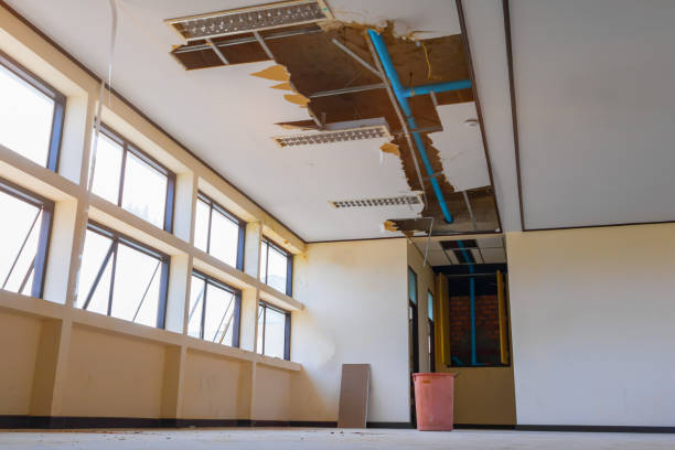 Best Local water damage restoration  in Oronogo, MO
