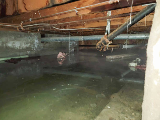 Best Water damage restoration near me  in Oronogo, MO