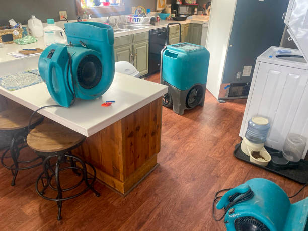Best Residential water damage restoration  in Oronogo, MO