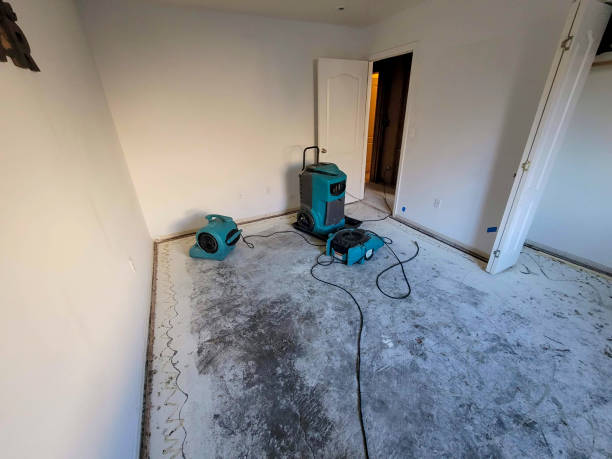 Best Flooded house restoration  in Oronogo, MO