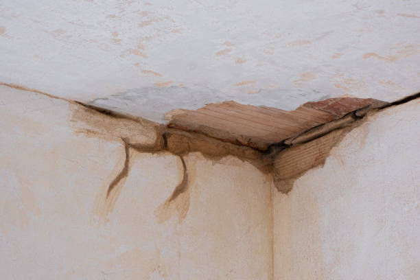 Water damage restoration experts in Oronogo, MO