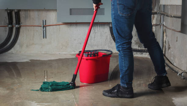 Best Water damage restoration specialists  in Oronogo, MO