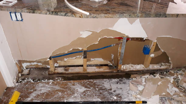 Best 24/7 water damage repair  in Oronogo, MO