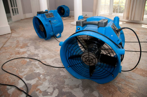 Oronogo, MO Water damage restoration Company