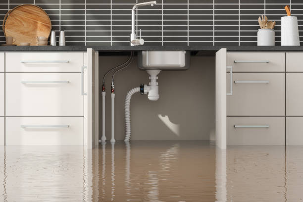 Best Flood restoration services  in Oronogo, MO