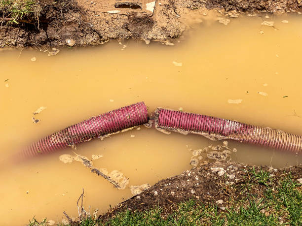 Best Water damage contractors near me  in Oronogo, MO