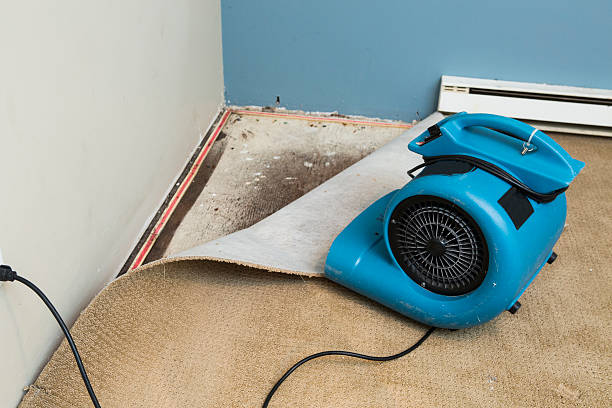 Trusted Oronogo, MO Water damage restoration Experts